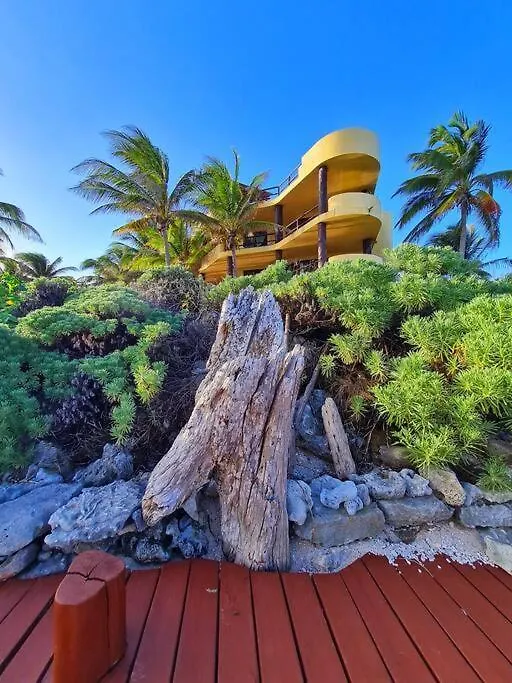 Villa 301, Ground Floor, Oceanfront! Mahahual Apartment