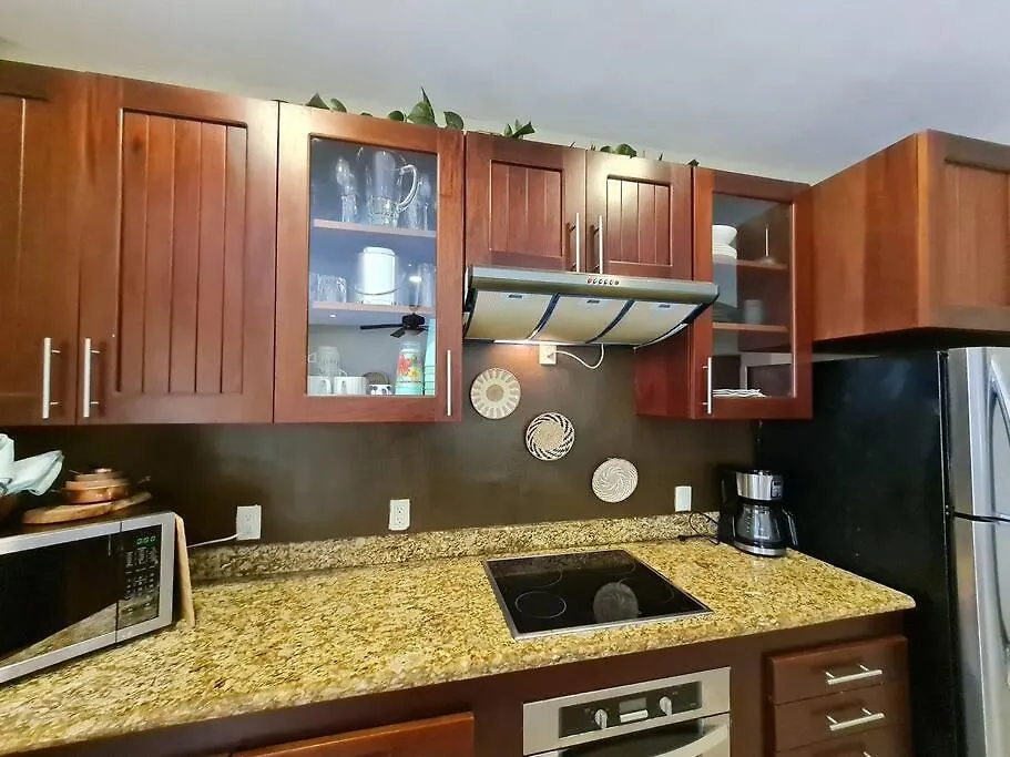 Villa 301, Ground Floor, Oceanfront! Mahahual 0*,