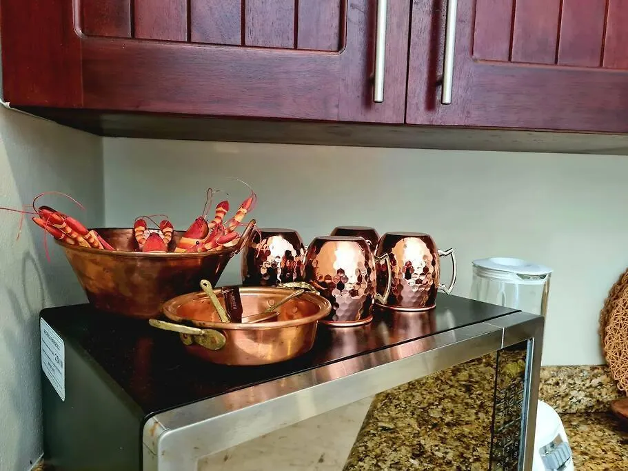 Villa 301, Ground Floor, Oceanfront! Mahahual 0*,  Mexico
